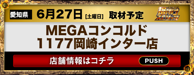 MEGAコンコルド1177岡崎インター店