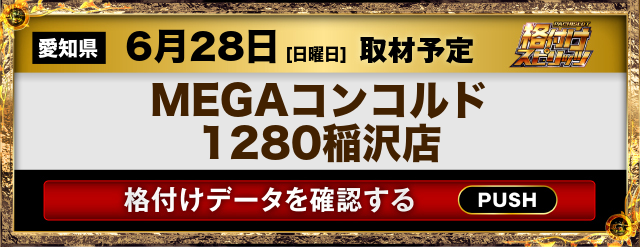MEGAコンコルド1280稲沢店