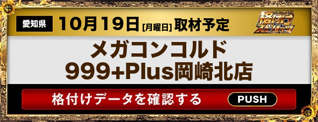 メガコンコルド999+Plus岡崎北店