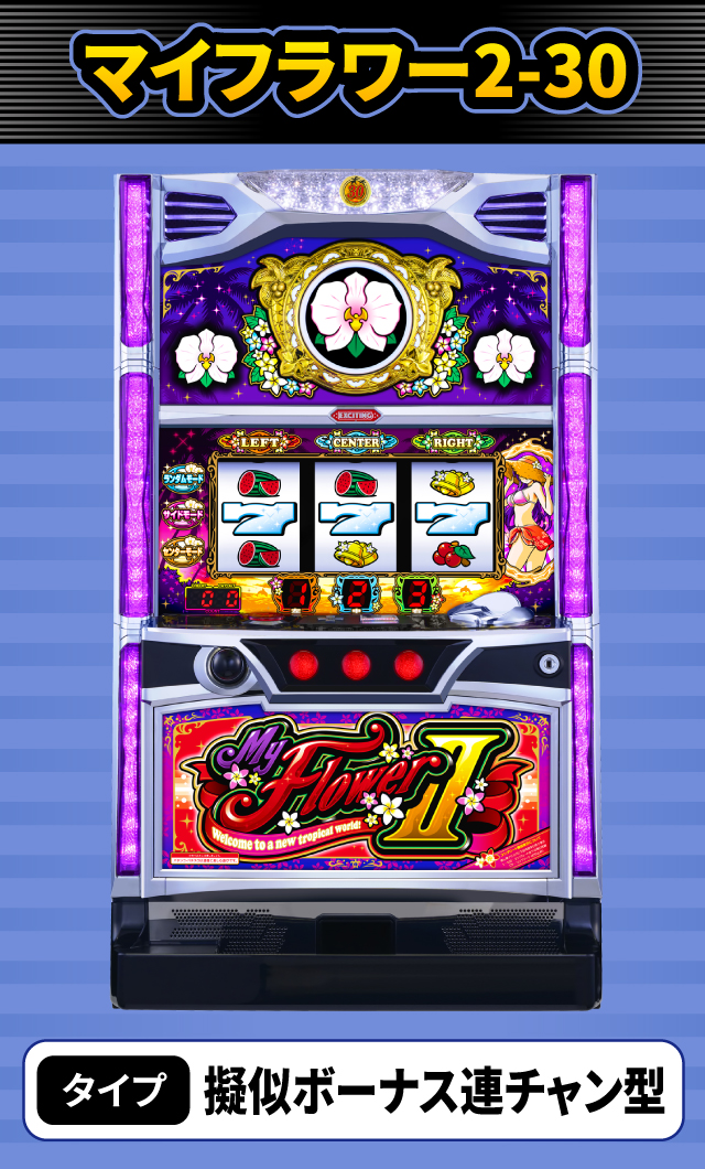 5月新台スペックナビ　マイフラワー2-30