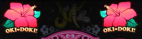 沖ドキブラック天井