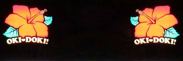 沖ドキDUOアンコール天井