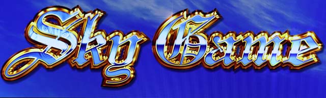 スカイラブ天井