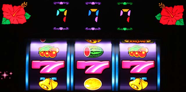 スーハナライジング天井