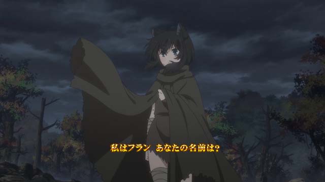 転生したら剣でした天井