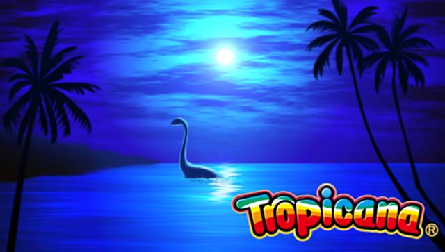 トロピカーナ天井