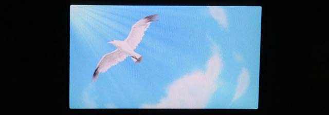 スマスロ トロピカーナ鳥