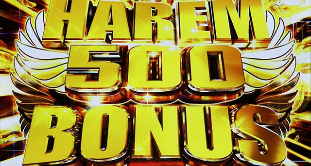 翔べハーレムエーススマスロボーナス