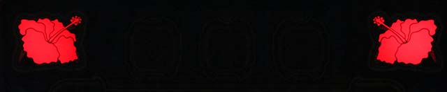 ハイビリターンプレミアム点滅