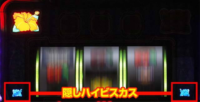 ハイビリターン隠しハイビスカス点滅