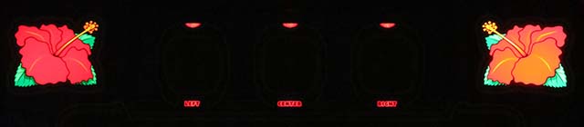 ハイビリターンボーナス