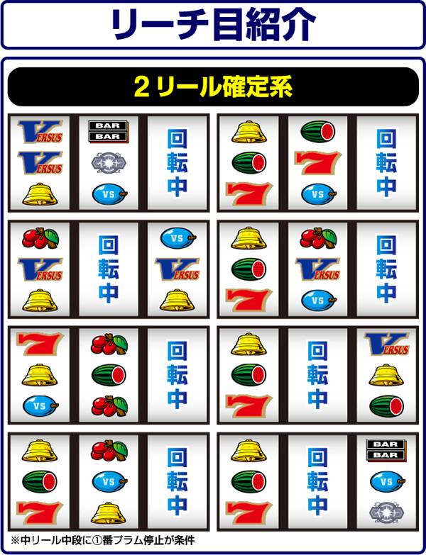 バーサスリーチ目