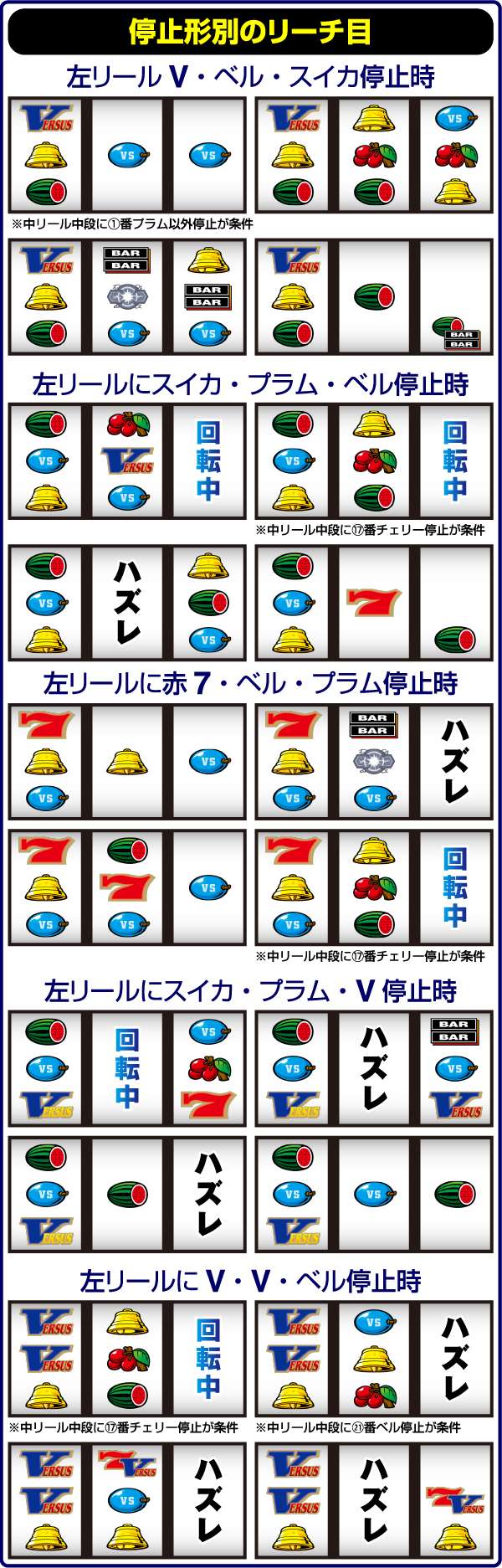 バーサスリーチ目