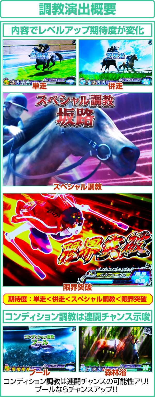 GI優駿倶楽部通常時調教演出概要