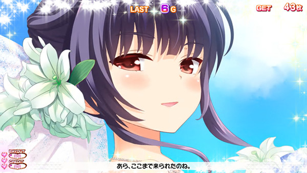 ガールフレンドブライドポイント関連抽選