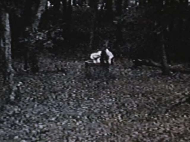 リング恐襲フリーズ