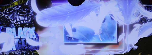 ブラクラ4羽通過