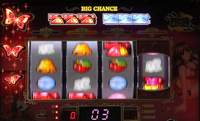 南国育ちバタフライゾーン