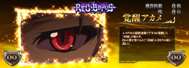 アカメが斬るREGキャラ紹介覚醒アカメ