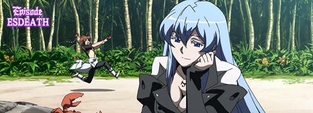 アカメが斬るエピソードボーナスエスデスエピソード