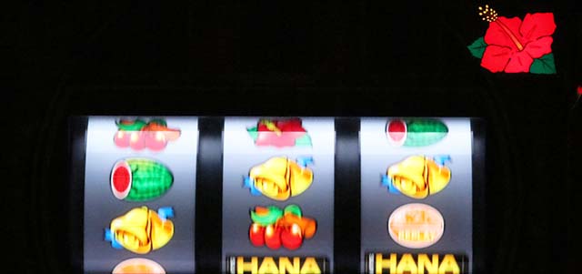 スーハナハイビスカスランプ