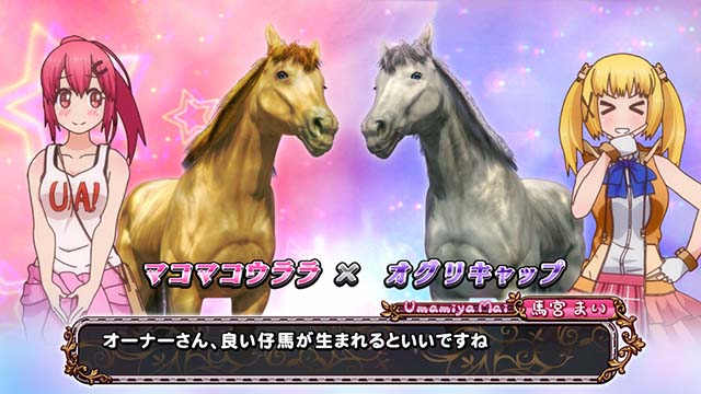 GI優駿倶楽部3まいレベル