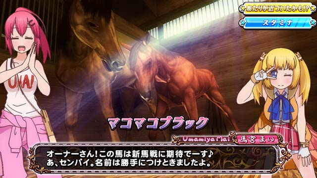 GI優駿倶楽部3天井短縮マコマコブラック