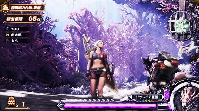 モンハン黄金狩猟ステージ