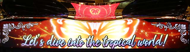 南国育ちボーナス後上部ランプ