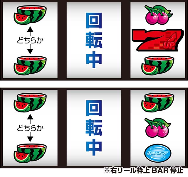 ディスクアップ2スイカ