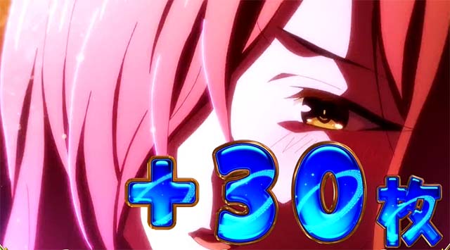 布盗会勝利画面