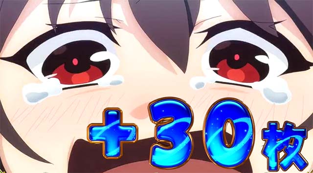 布盗会勝利画面