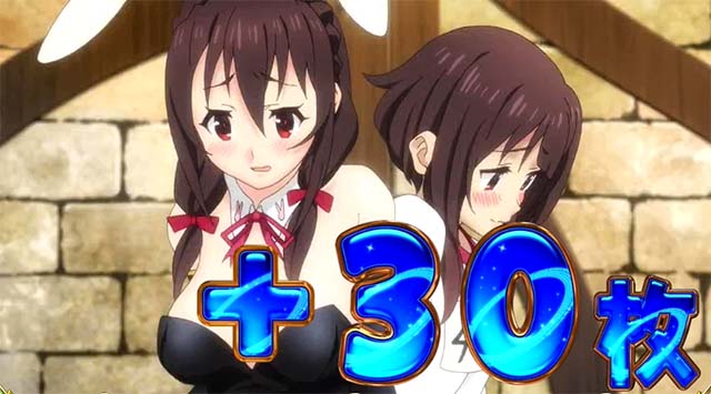 布盗会勝利画面