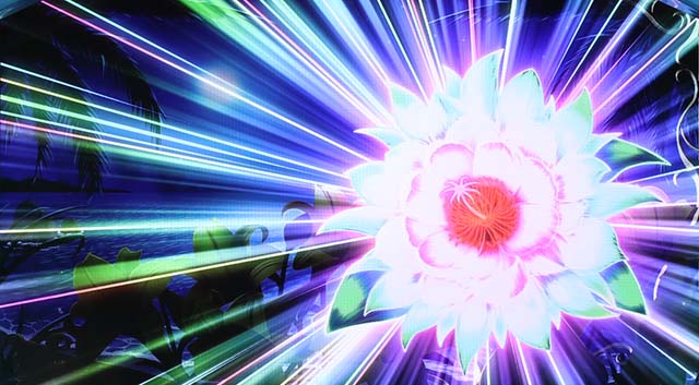 月華雅フリーズ