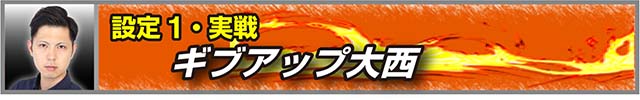 戦国無双3設定1実戦