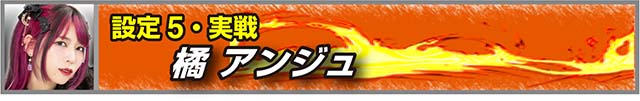 戦国無双3設定5実戦