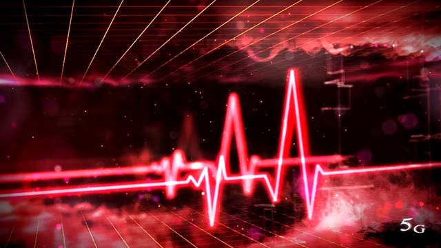 バイオヴェンデッタサイレントモード