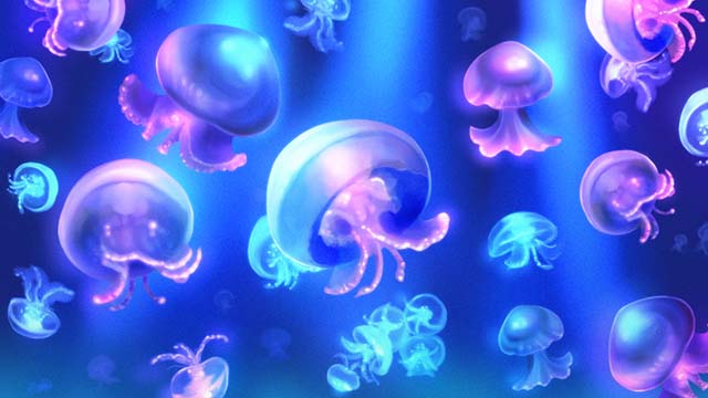 防空少女ラブキューレ2ステージ