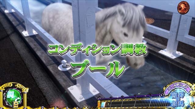 スマスロGI優駿倶楽部黄金G1ダービークラブプール演出