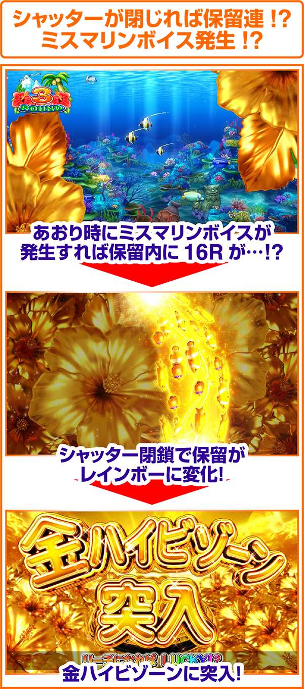 海物語アイマリンハイビスカスチャンス