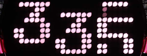 ツインループ花満開・満開モード中