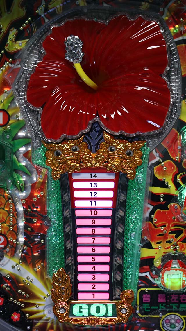 デカビスカスハイビスカスリーチ