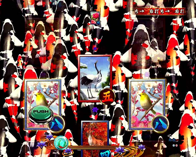 真花月2鯉昇り予告