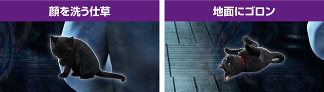 リング呪いの7日間2子ネコアクション予告