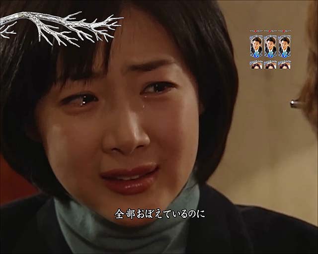 冬のソナタ FOREVER・リーチ・プレミア