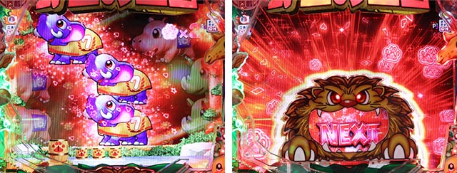 野生の王国GO・連続予告