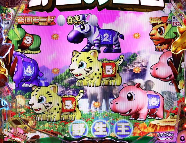 野生の王国GO・休憩