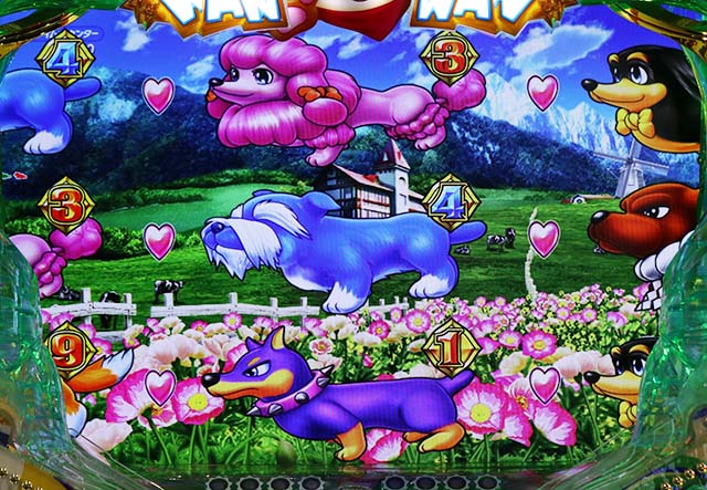 わんわんパラダイスV（5）・プレミアム