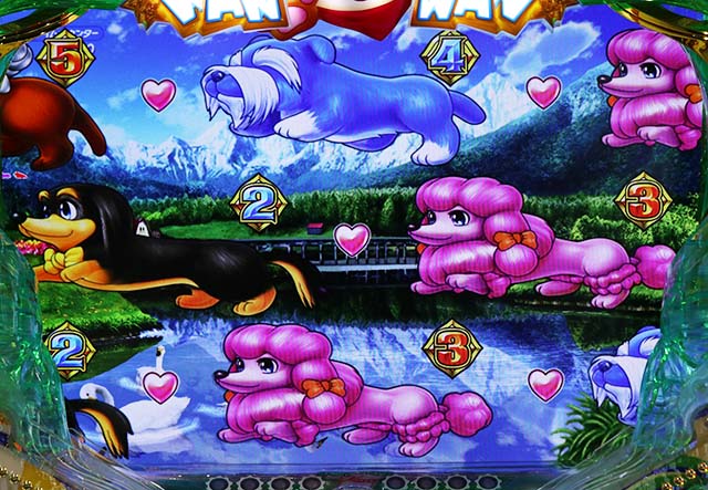 わんわんパラダイスV（5）・プレミアム