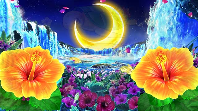 ギンギラパラダイス夢幻カーニバル（ギンパラ）・ハイビスカスモード専用